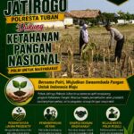 Dukung Asta Cita, Polsek Jatirogo Turun Langsung Pantau Ladang Jagung Warga Desa Dingil