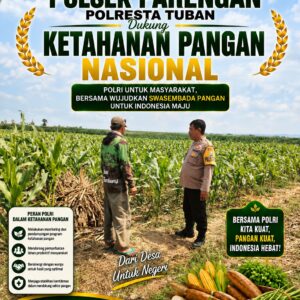 ANGGOTA POLSEK PARENGAN POLRESTA TUBAN DORONG KETAHANAN PANGAN MELALUI PENDAMPINGAN PETANI JAGUNG DI DESA MERGOASRI KEC. PARENGAN KAB. TUBAN