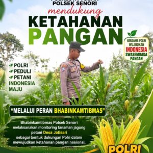 Mendukung Program Ketahanan Pangan Nasional Anggota Bhabinkamtibmas Polsek Senori Polresta Tuban Monitoring Tanaman Jagung Warga Desa Jatisari