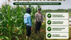Polsek Tuban Bersama Petani Dukung Swasembada Pangan untuk Indonesia Maju