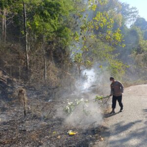 Sigap Padamkan Titik Api di Kilometer 78, Kapolsek Lunyuk Bersama Warga Tanggulangi Kebakaran Hutan dan Lahan