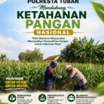 Polsek Soko Polresta Tuban Turun Langsung Cek Tanaman Jagung Warga