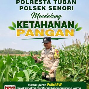 Polisi RW Polsek Senori Polresta Tuban Monitoring Tanaman Jagung Milik Warga Desa Medalem Dukung Program Ketahanan Pangan