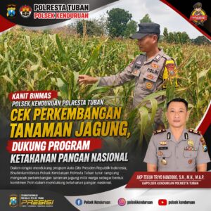 Dukung Astacita, Polsek Palang Polresta Tuban Pantau Langsung Lahan Jagung milik warga Desa Wangun