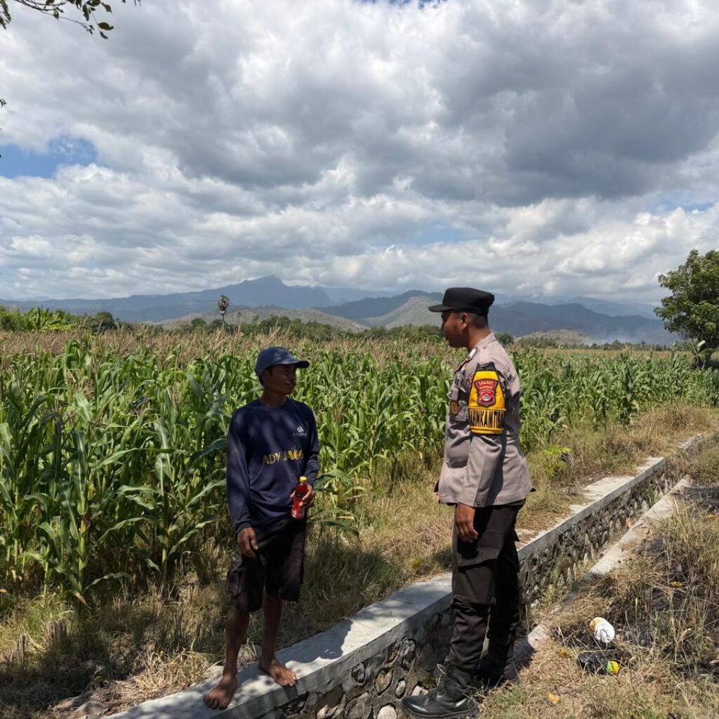 Dukung Swasembada Jagung Menuju Indonesia Emas, Bhabinkamtibmas Desa Pukat Sambangi Petani di Dusun Pukat