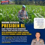 POLSEK KENDURUAN POLRESTA TUBAN DUKUNG PROGRAM KETAHANAN PANGAN NASIONAL MELALUI PENGECEKAN TANAMAN JAGUNG WARGA
