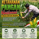 Polsek Soko Polresta Tuban Turun Langsung Cek Tanaman Jagung Warga