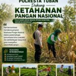DALAM RANGKA MENDUKUNG PROGRAM KETAHANAN PANGAN, BHABINKAMTIBMAS DESA NGAWUN POLSEK PARENGAN SAMBANGI PETANI JAGUNG DI DESA NGAWUN KEC. PARENGAN