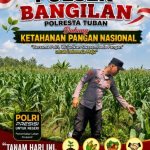 Polsek Bangilan Dukung Ketahanan Pangan Nasional Melalui Monitoring Tanaman Jagung