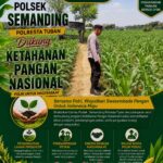 Polri Dukung Astacita, Polsek Semanding Polresta Tuban Turun Cek Tanaman jagung milik Warga di Desa Tegalagung