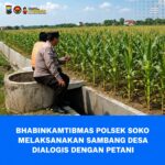 Polsek Soko Polresta Tuban Turun Langsung Cek Tanaman Jagung Warga
