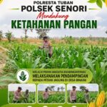 Mendukung Program Ketahanan Pangan Nasional Anggota Bhabinkamtibmas Polsek Senori Polresta Tuban Lakukan Pemantauan Tanaman Jagung Warga Desa Jatisari