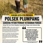 Polsek Plumpang Polresta Tuban Turun Langsung Cek Tanaman Jagung Warga