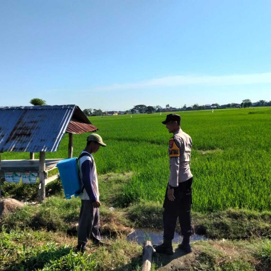 Dukung Ketahanan Pangan Nasional, Bhabinkamtibmas Desa Motong Sambangi Petani Padi dan Dorong Pemanfaatan Pekarangan