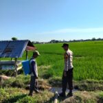 Dukung Ketahanan Pangan Nasional, Bhabinkamtibmas Desa Motong Sambangi Petani Padi dan Dorong Pemanfaatan Pekarangan