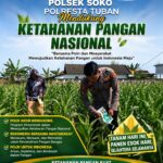 Polsek Soko Polresta Tuban Turun Langsung Cek Tanaman Jagung Warga