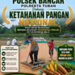 Bripda Dodi Eko Anggota Polsek Bancar Turun ke Ladang, Bantu Warga Jemur Hasil Panen Jagung