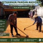 Polsek Montong Polresta Tuban Turun Cek Tanaman jagung Warga di Desa Bringin