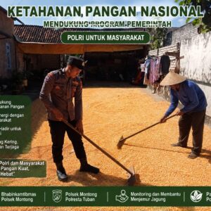 Polsek Montong Polresta Tuban Turun Cek Tanaman jagung Warga di Desa Bringin