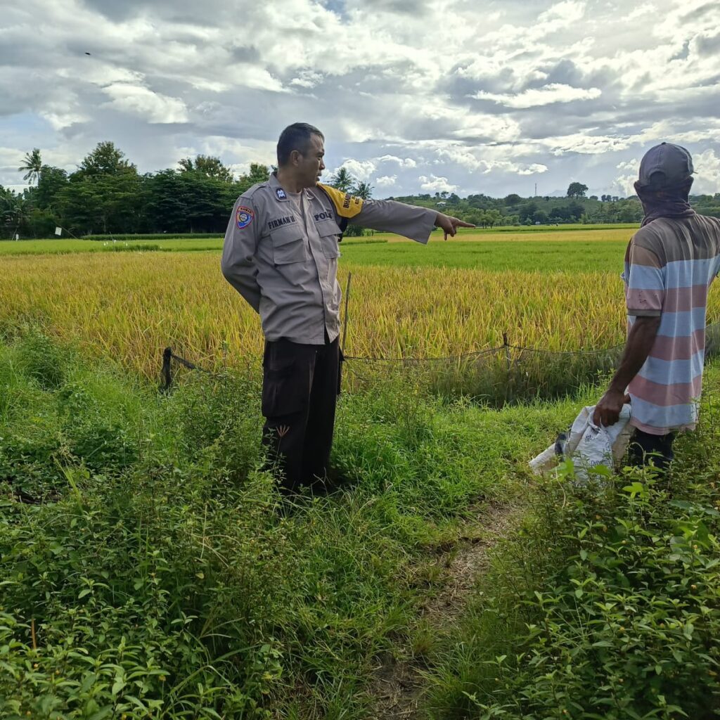 Dukung Ketahanan Pangan Nasional, Bhabinkamtibmas Desa Ngeru Sambangi Petani Padi di Dusun Kalijaga