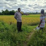 Dukung Ketahanan Pangan Nasional, Bhabinkamtibmas Desa Ngeru Sambangi Petani Padi di Dusun Kalijaga