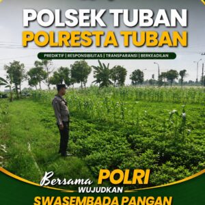 Polsek Tuban Dukung Ketahanan Pangan, Pantau Perkembangan Lahan Pertanian Warga