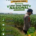 Polsek Singgahan Polresta Tuban Turun Cek Tanaman jagung Warga di Desa Lajo Lor