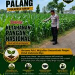 *Dukung Astacita, Polsek Palang Polresta Tuban Pantau Langsung Lahan Jagung milik warga Desa Wangun*