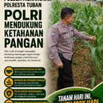 Polri Dukung Astacita, Polsek Merakurak Polres Tuban Turun Cek Tanaman Jagung Warga di Desa Tuwiri Wetan