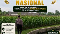 Polri Dukung Astacita, Polsek Semanding Polresta Tuban Turun Cek Tanaman jagung milik Warga di Desa Boto