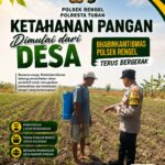 Polri Dukung Astacita, Polsek Rengel Polresta Tuban Turun Cek Tanaman Jagung Warga di Desa Sawahan