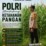 Polsek Singgahan Polresta Tuban Turun Cek Tanaman jagung Warga di Desa Mulyoagung