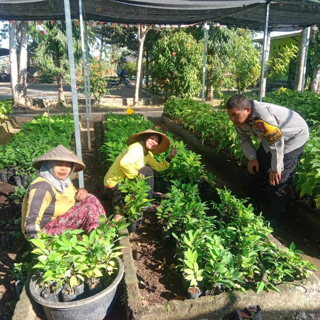 DUKUNG KETAHANAN PANGAN, BHABINKAMTIBMAS SUKA DAMAI SALURKAN BIBIT BUAH KEPADA MASYARAKAT