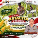 Dukung Astacita Presiden, Bhabinkamtibmas Desa Sokogrenjeng Polsek Kenduruan Polresta Tuban Cek Perkembangan Tanaman Jagung Warga