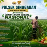 Polsek Singgahan Polresta Tuban Turun Cek Tanaman jagung Warga di Desa Lajo Lor
