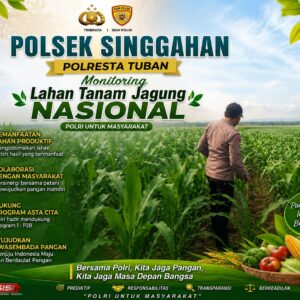 Polsek Singgahan Polresta Tuban Turun Cek Tanaman jagung Warga di Desa Lajo Lor