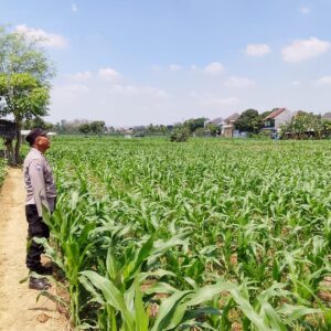 Dalam rangka mendukung program Astacita Presiden Republik Indonesia H.Prabowo Subianto, jajaran Kepolisian terus menunjukkan komitmennya dalam mendukung program ketahanan pangan nasional.