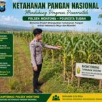 Polsek Montong Polresta Tuban Turun Cek Tanaman jagung Warga di Desa Pakel