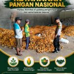 “PANTAU GUDANG PENGERINGAN DAN PENYIMPANAN JAGUNG, ANGGOTA POLSEK KEREK DUKUNG KETAHANAN PANGAN”