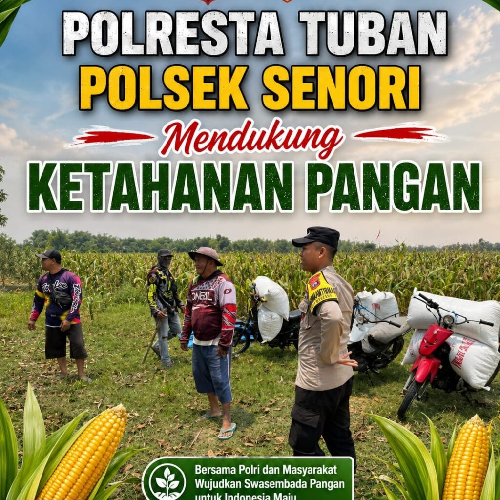 Anggota Bhabinkamtibmas Polsek Senori Polresta Tuban Turun ke ladang, Bantu Warga Desa Jatisari Panen Jagung