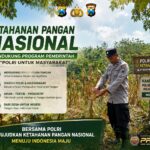 Polsek Montong Polresta Tuban Turun Cek Tanaman jagung Warga di Desa Ngulahan