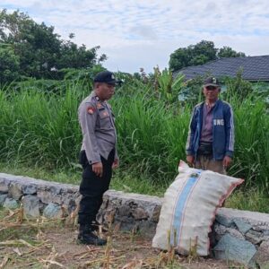 Memperkuat Ketahanan Pangan Desa, Bhabinkamtibmas Polsek Labuapi Turun Sawah Sapa Petani Karang Bongkot