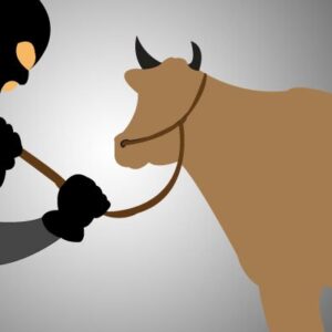 Unit Reskrim dan Piket Polsek Empang Amankan Terduga Pelaku Pencurian di Desa Jotang