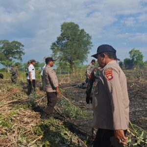 Personel Polsek Sambelia Bersama Instansi Terkait Berupaya Padamkan Kebakaran Hutan Produksi di Dara Kunci