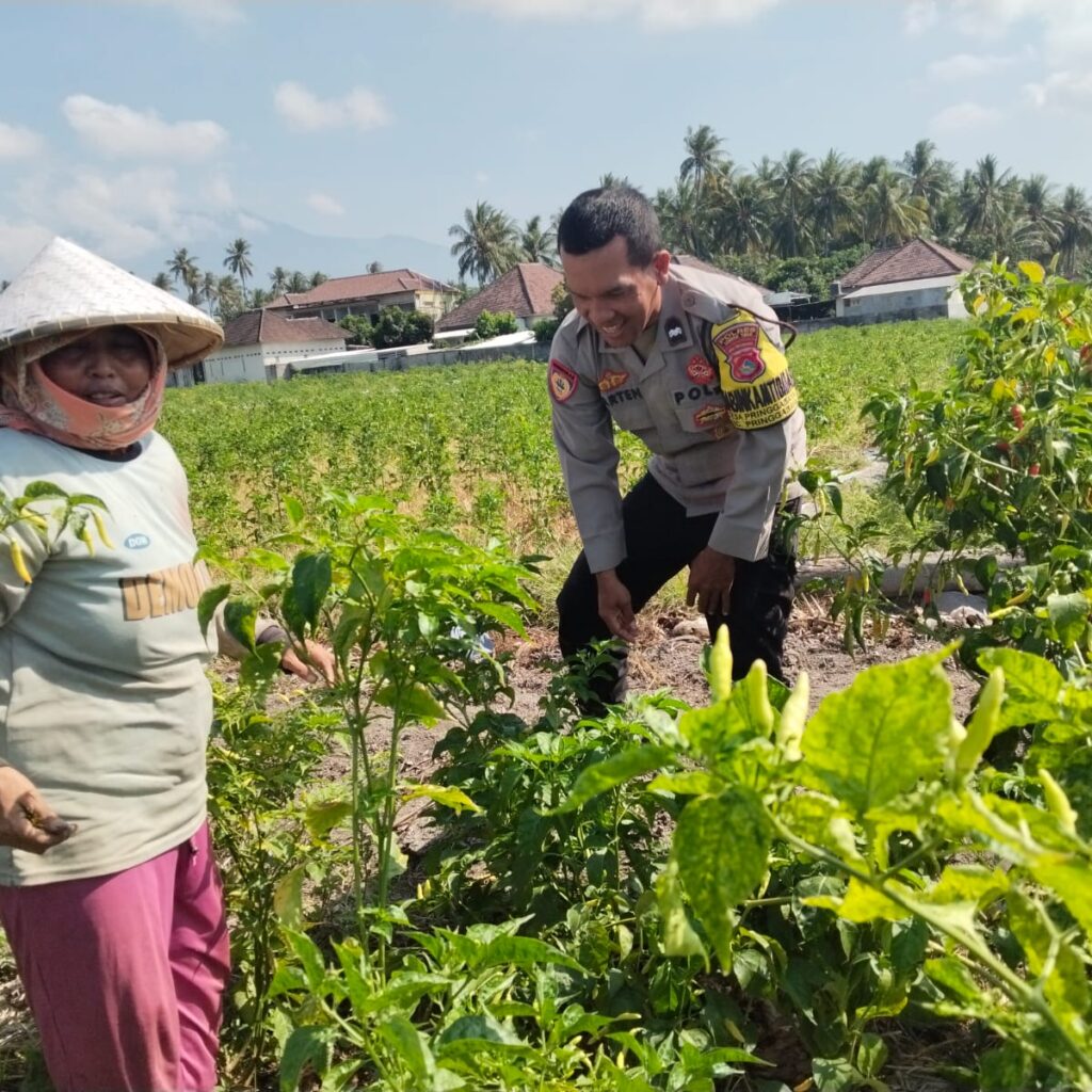 Bhabinkamtibmas Pringgabaya Sambangi Petani, Ingatkan Kamtibmas dan Bahaya Karhutla