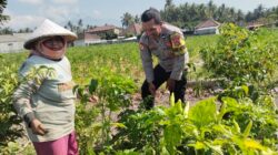 Bhabinkamtibmas Pringgabaya Sambangi Petani, Ingatkan Kamtibmas dan Bahaya Karhutla