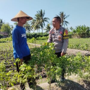 Bhabinkamtibmas Desa Pringgabaya Sambangi Petani Subak Rarung, Sampaikan Himbauan Kamtibmas dan Antisipasi Karhutla