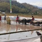 Polres Sumbawa Barat Pastikan Festival Barapan Kerbau Jereweh Berlangsung Aman dan Kondusif.