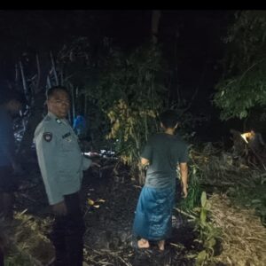 Kebakaran Kebun Bambu di Dusun Penyenggir Berhasil Dipadamkan Bhabinkamtibmas Bersama Warga