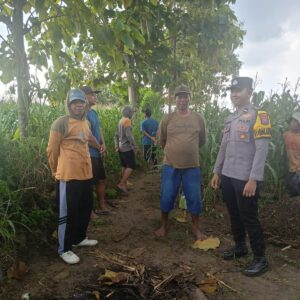 Tatap Muka di Tengah Ladang Jagung, Bhabinkamtibmas Polsek Tambakboyo Jalin Kedekatan Dengan Petani